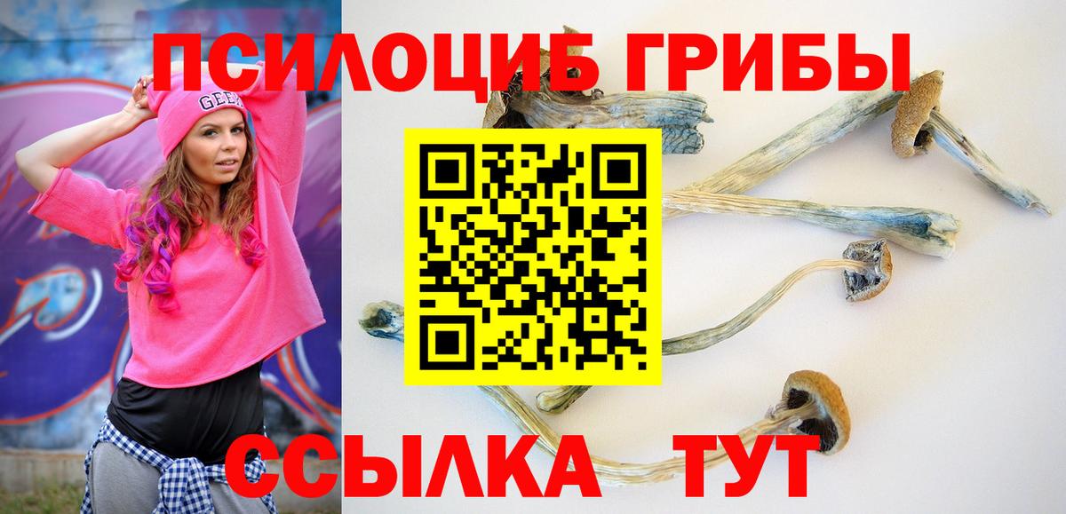 Галлюциногенные грибы Cubensis  Вход с VPN  Урус-Мартан 