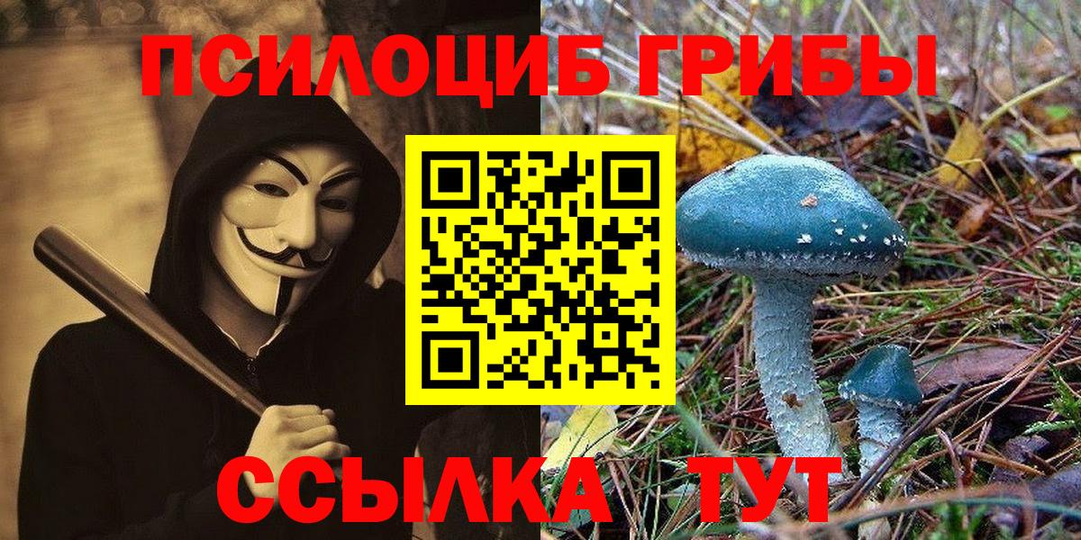 Псилоцибиновые грибы Cubensis Урус-Мартан